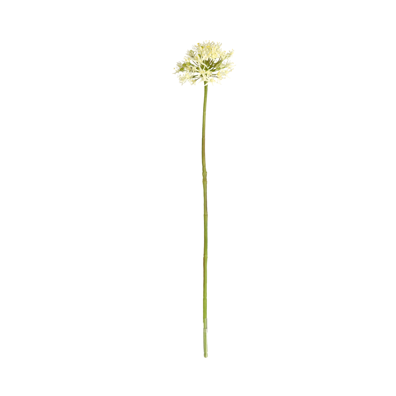 Allium Kunstbloem 61cm Creme