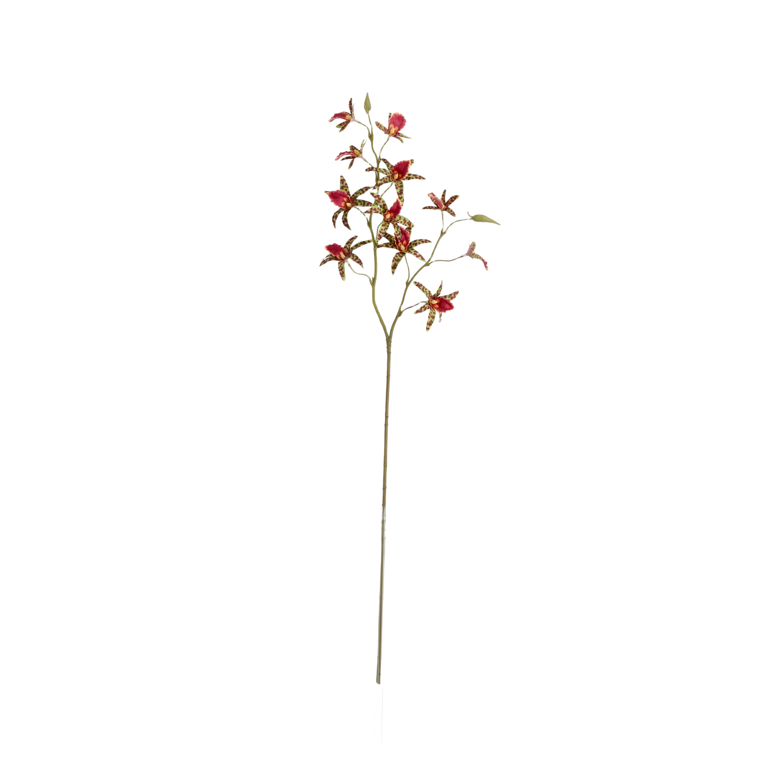 Dendrobium Kunst Orchidee 92cm Groen