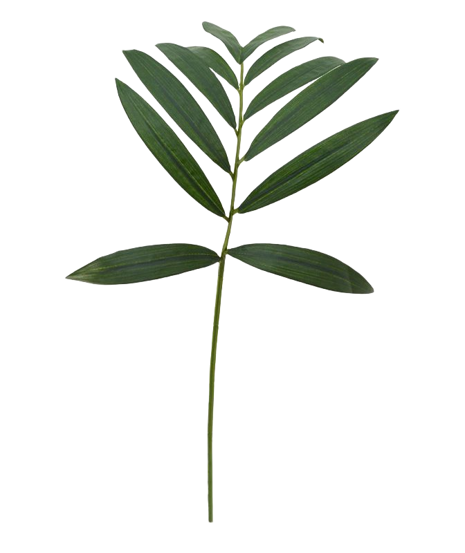 Parlour Palmtak 60