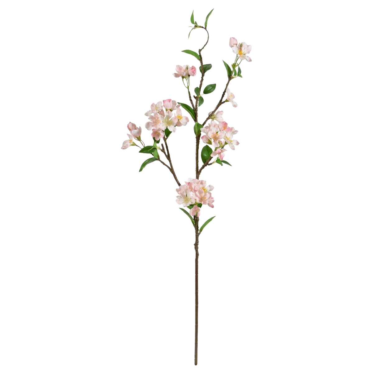 Appel Bloesemtak deluxe 95cm Peach