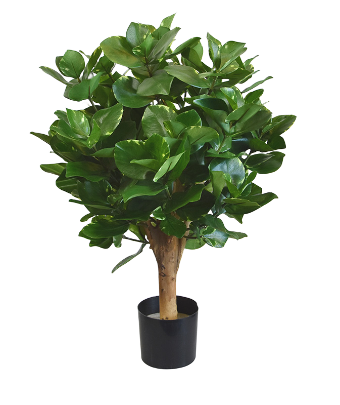 Clusia bol kunstplant 55cm