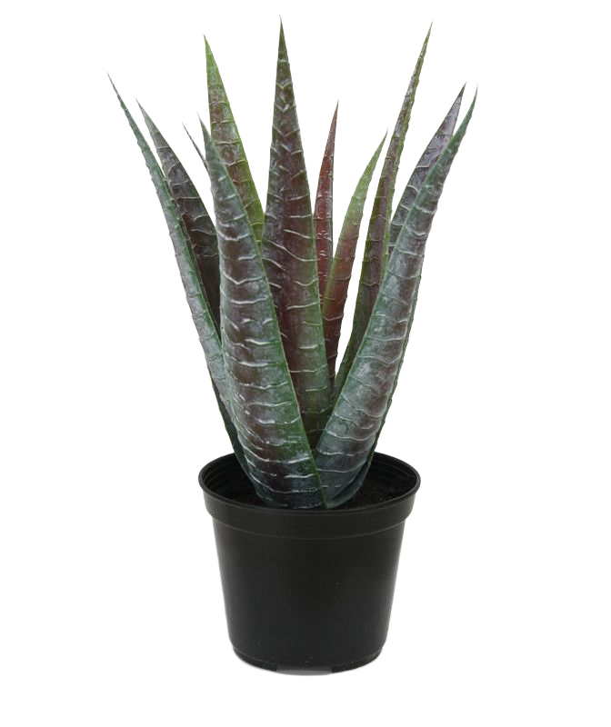 Aloë kunstplant 30cm in pot