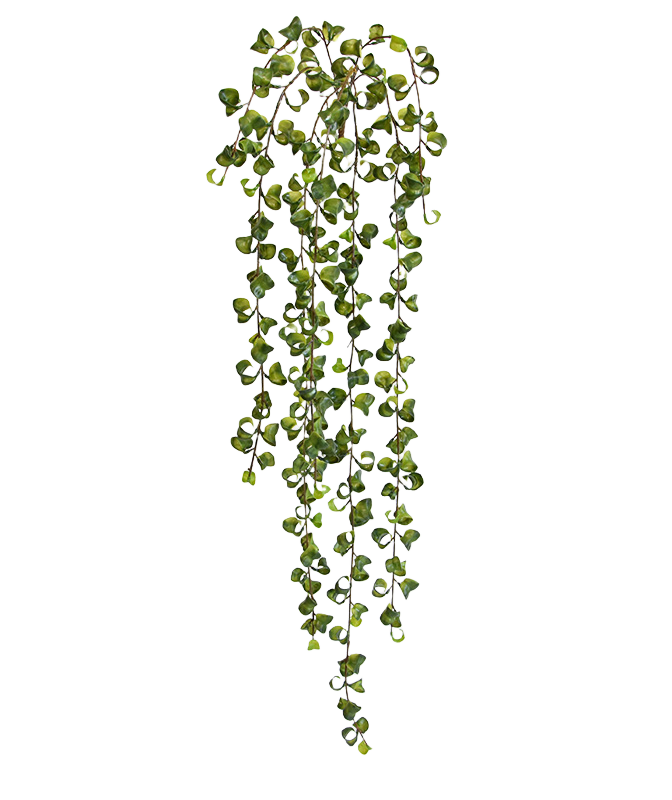 Peperomia Prostrata kunst hangplant 80cm