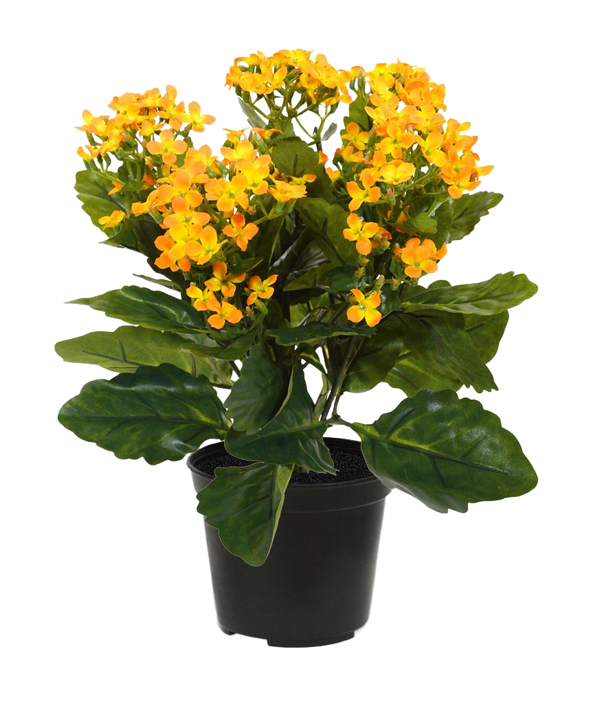 Kalanchoe kunstplant 30cm - oranje in pot