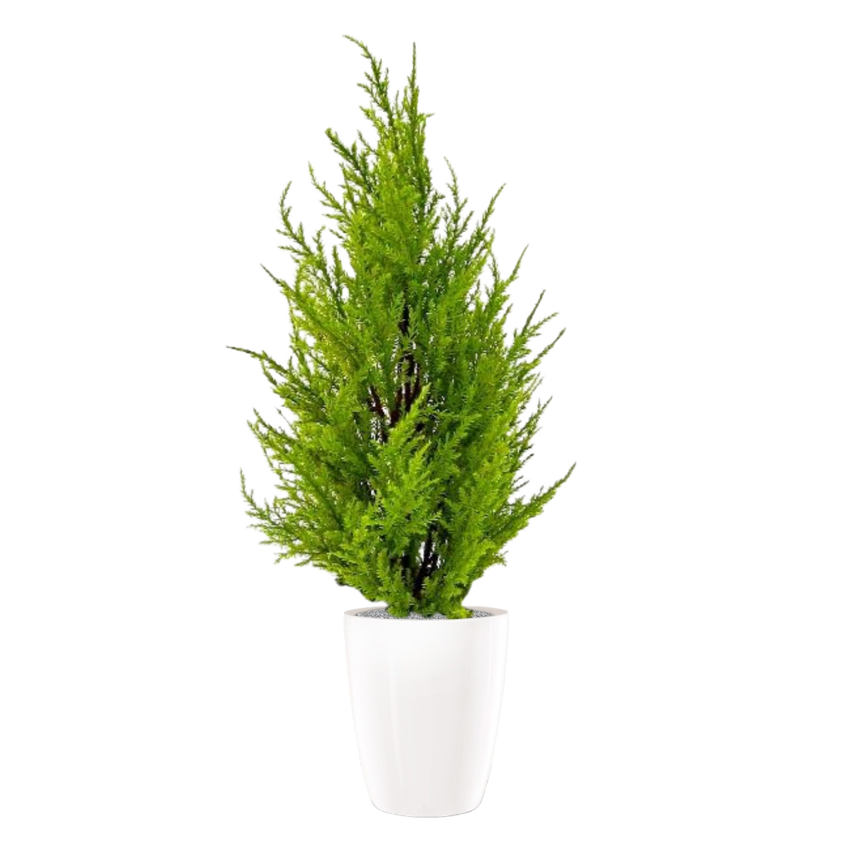Conifeer kunstplant 45cm - geel/groen