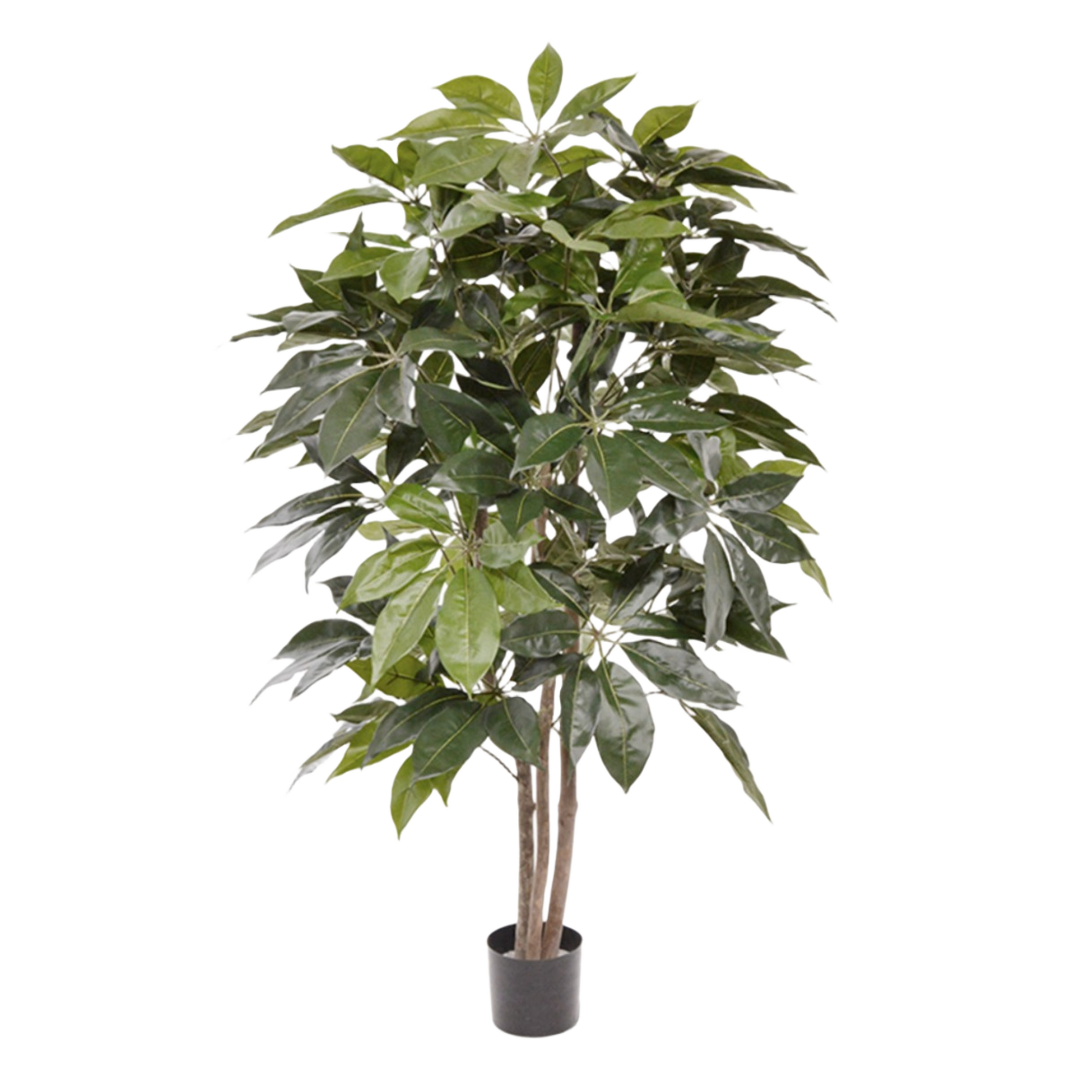 Scheflera Amate kunstboom 150cm