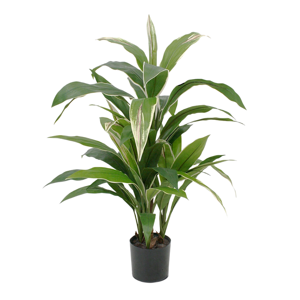 Draceana kunstplant 80cm - bont