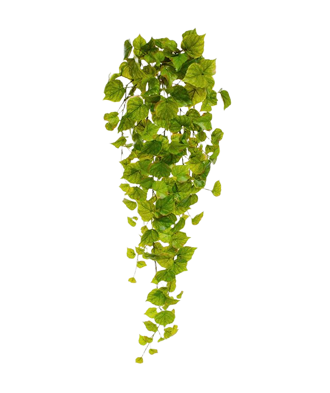 Populier kunst hangplant 80cm