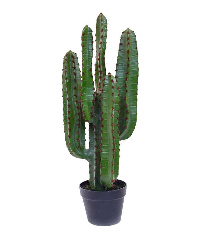 Euphorbia kunst Cactus 70cm
