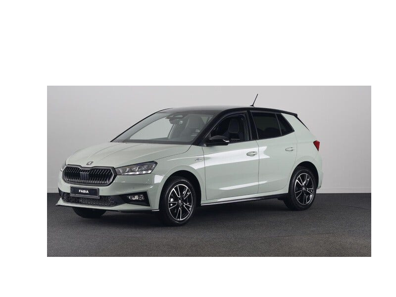 Skoda Fabia occasion
