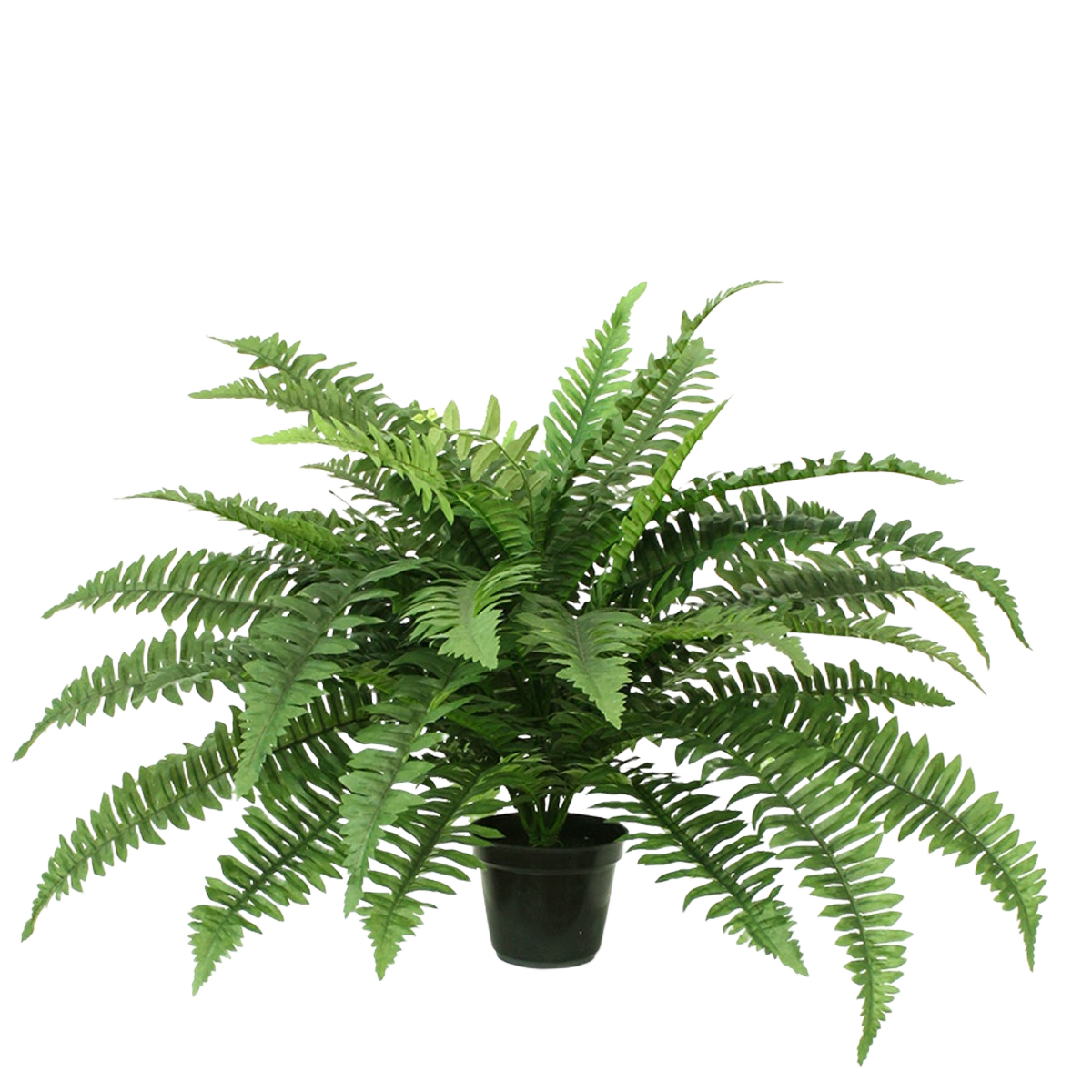 Boston Varen deluxe kunstplant 65cm in pot