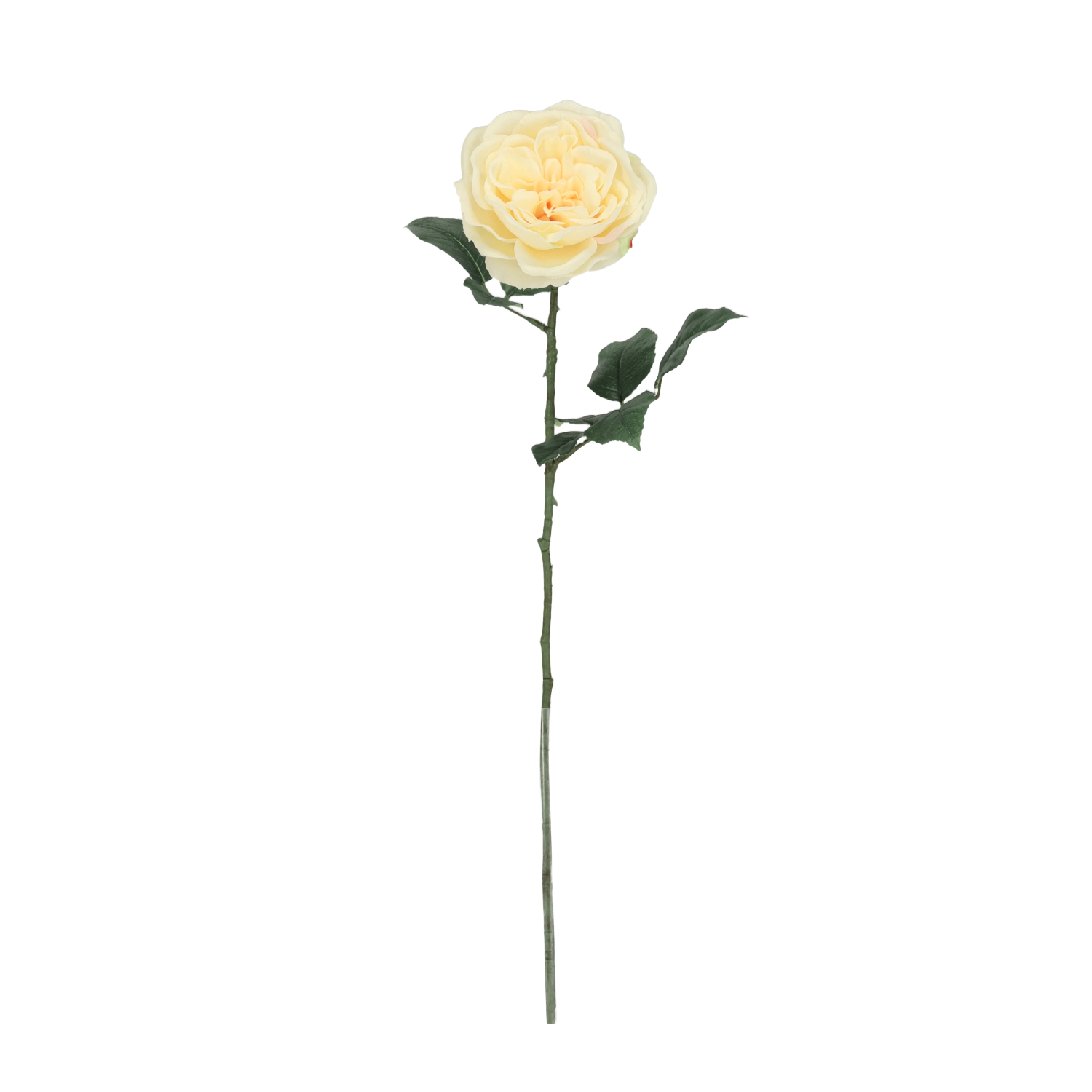 Engelse Tuinroos Kunsttak 56cm Creme