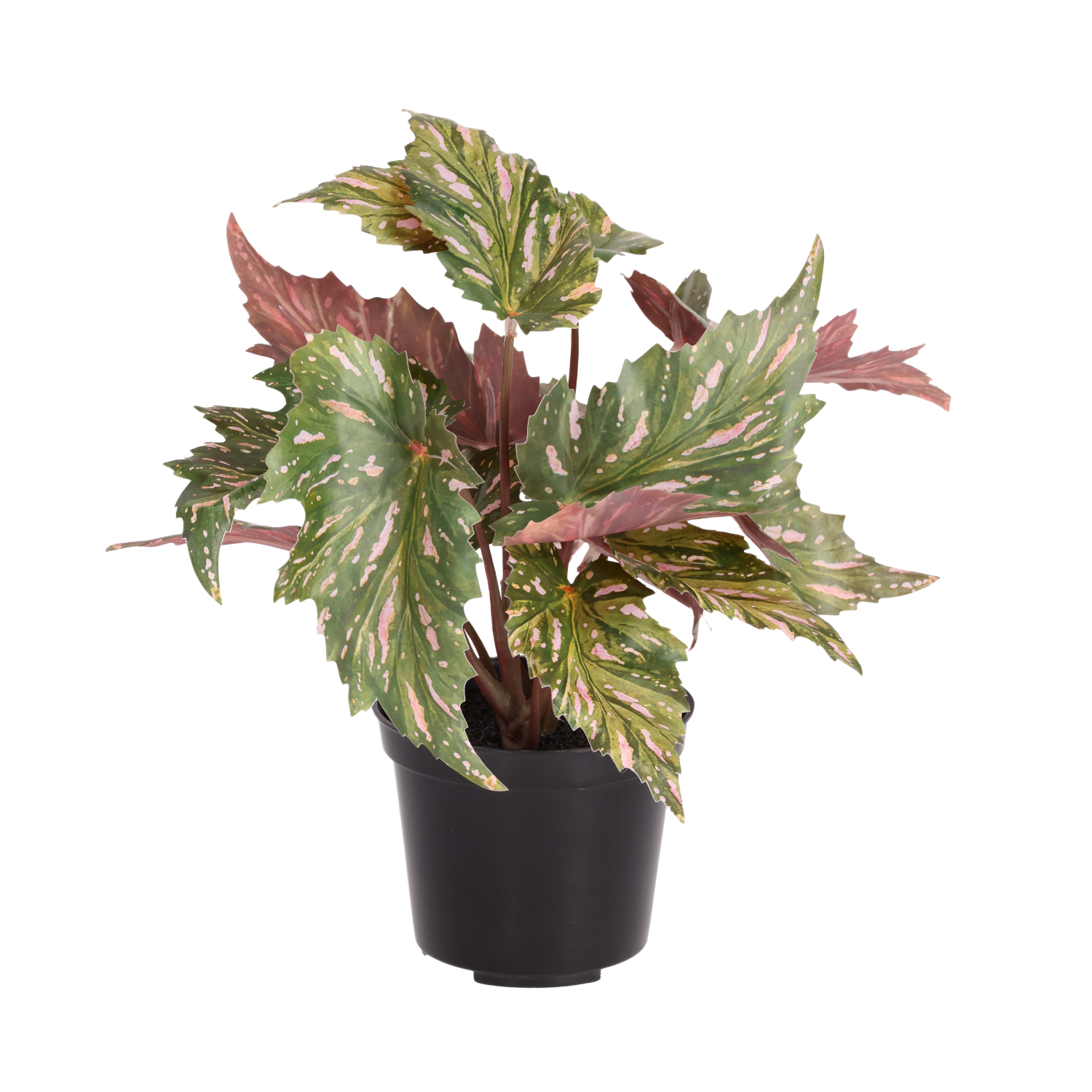Begonia Rex kunstplant groen rood 20cm in kweekpot