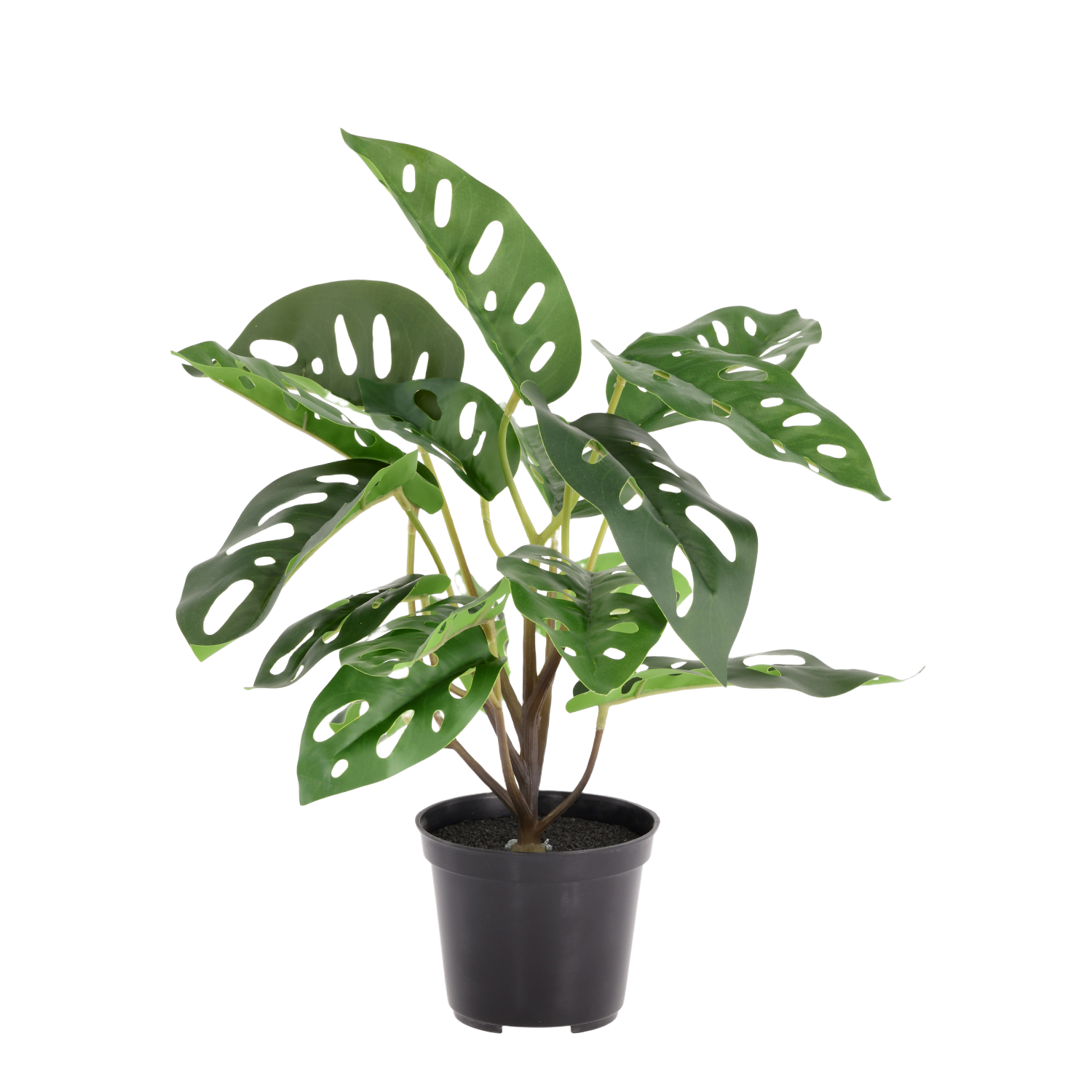 Monstera Adansonii kunstplant 30cm in kweekpot
