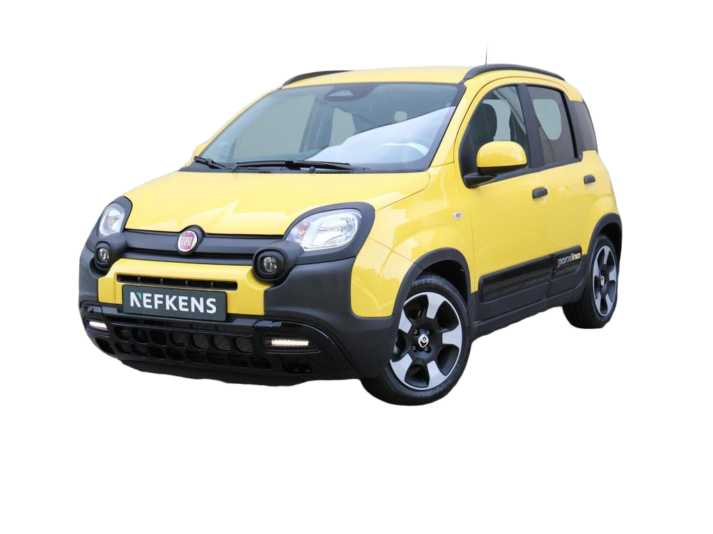Fiat Pandina