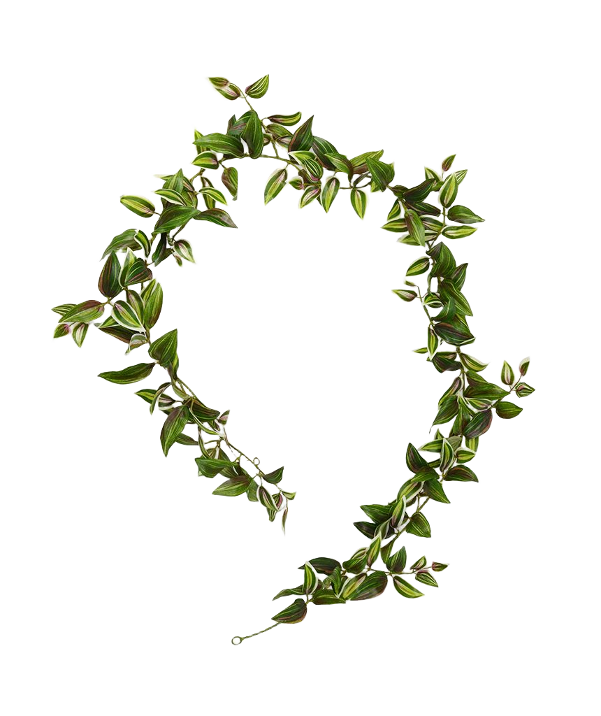 Tradescantia kunst Guirlande 180cm - bont afbeelding 1