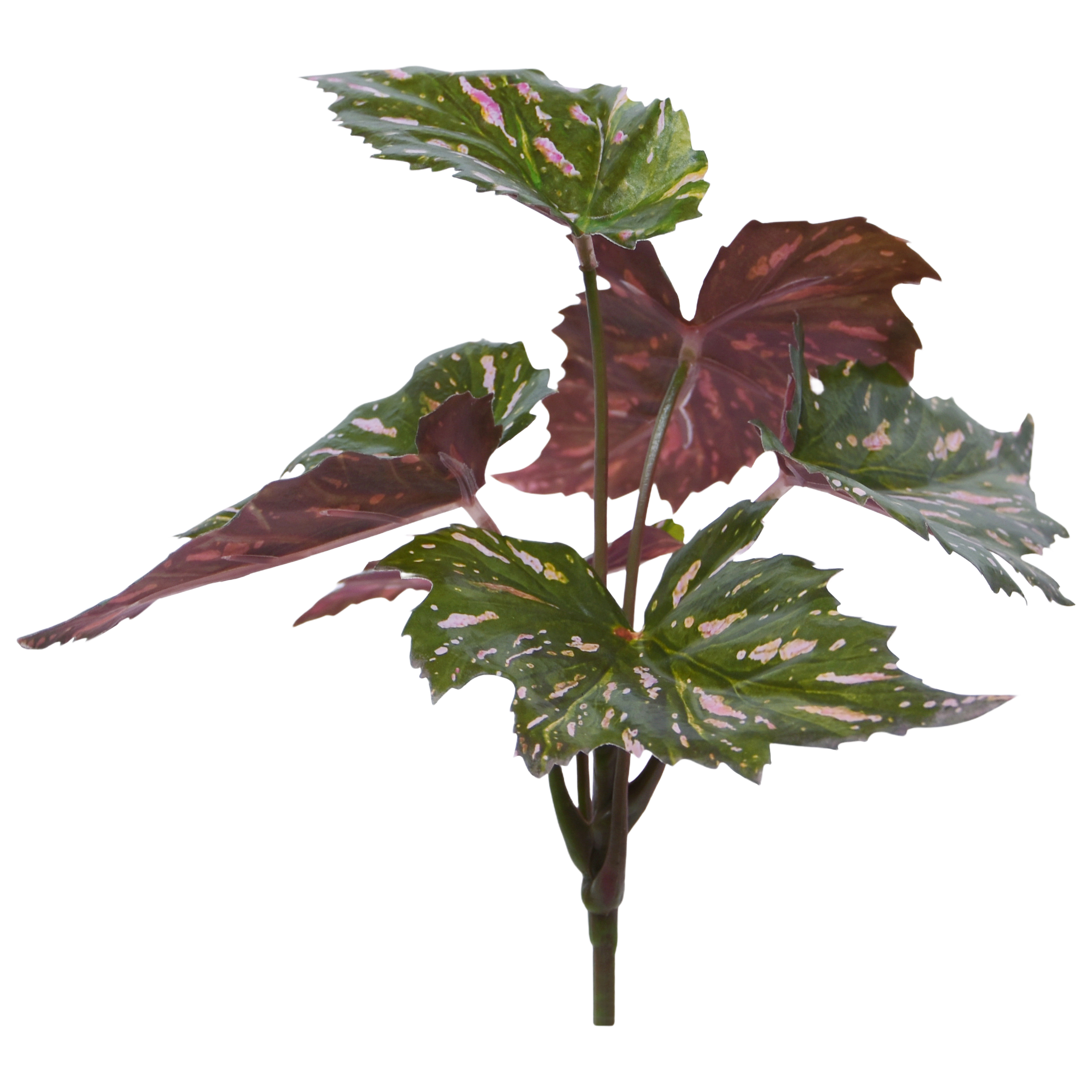 Begonia Rex kunstplant groen rood 20cm afbeelding 1