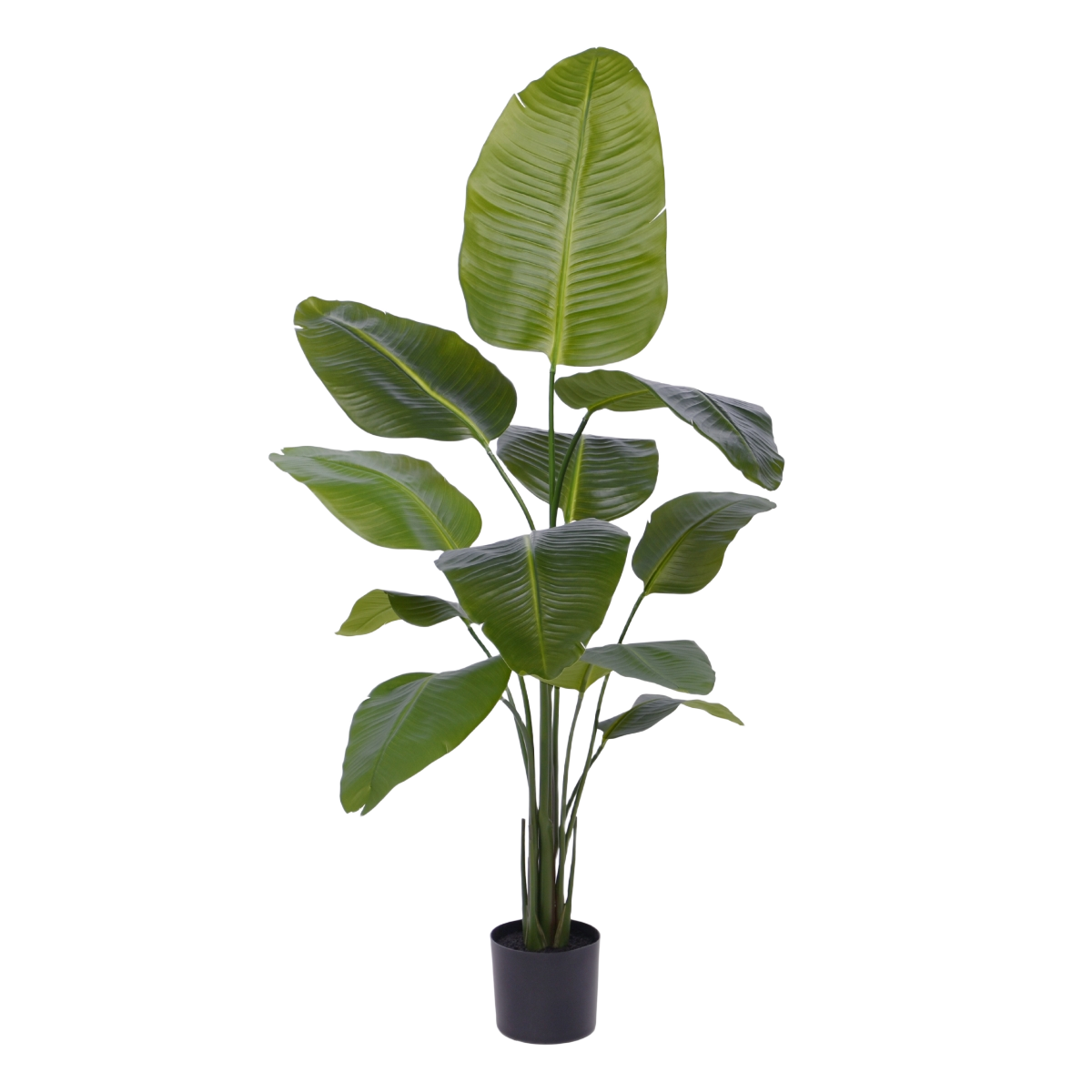 Strelitzia Nicolai kunstplant 150cm