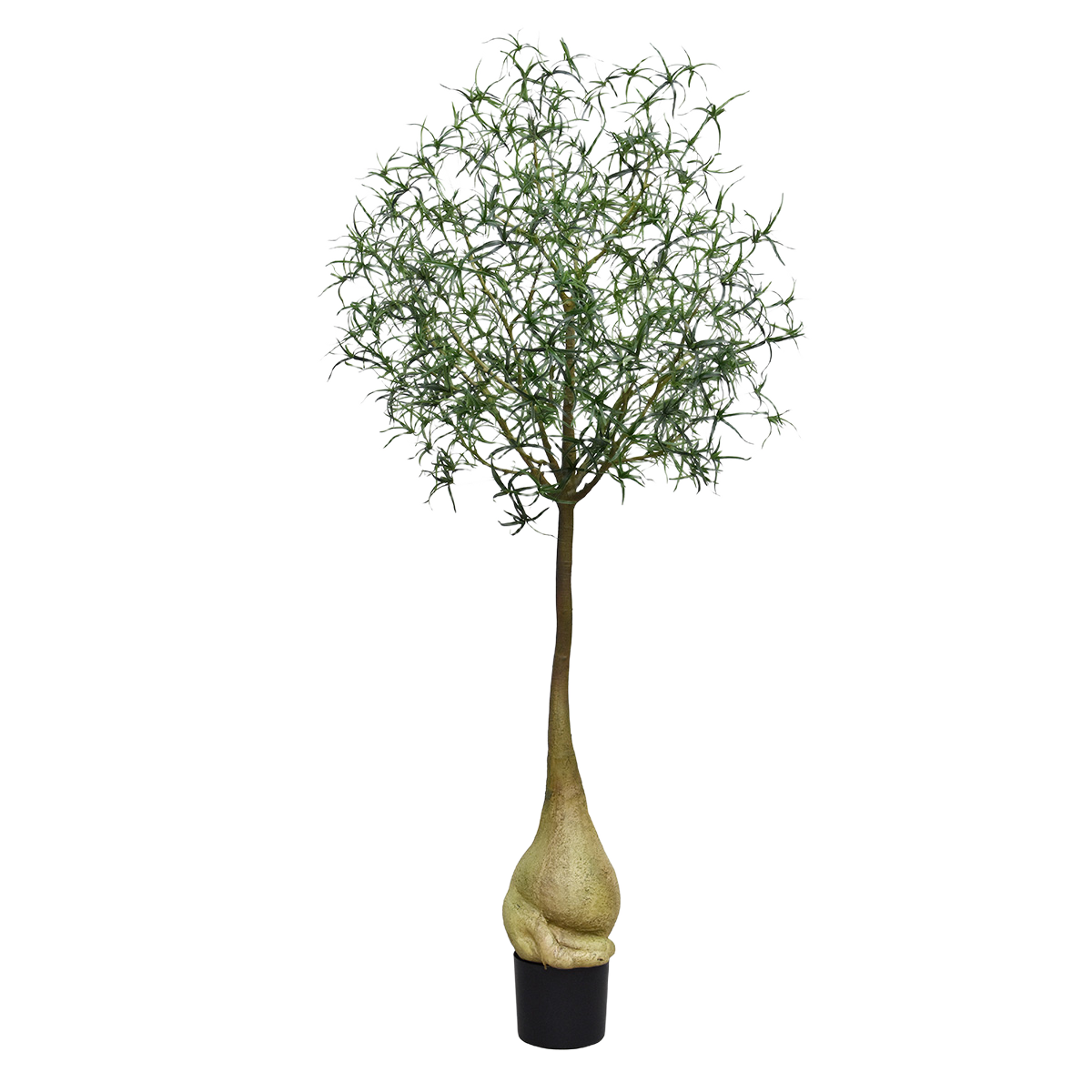 Brachychiton Bottle Kunstboom 240cm