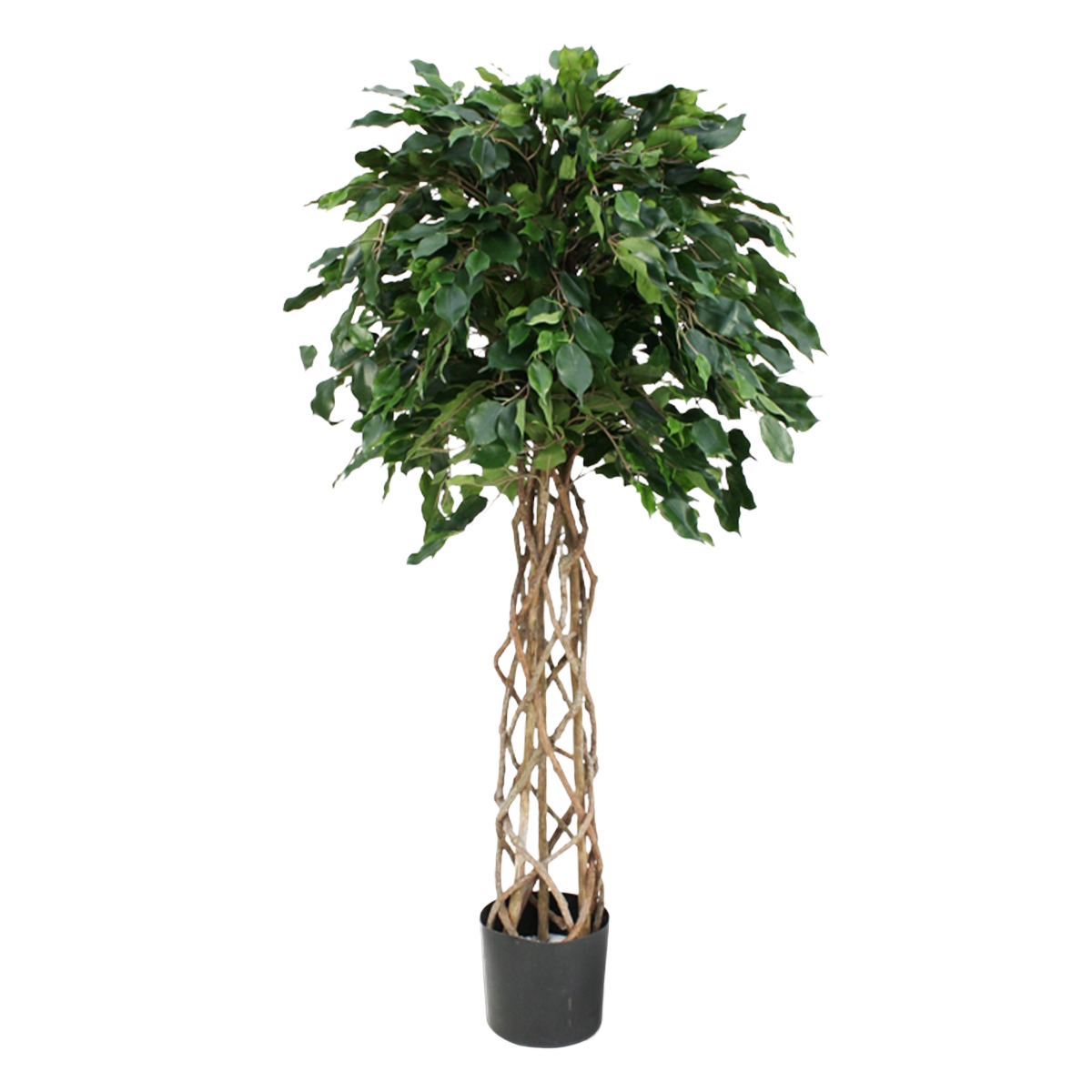 Ficus Exotica bol kunstplant op stam 150cm