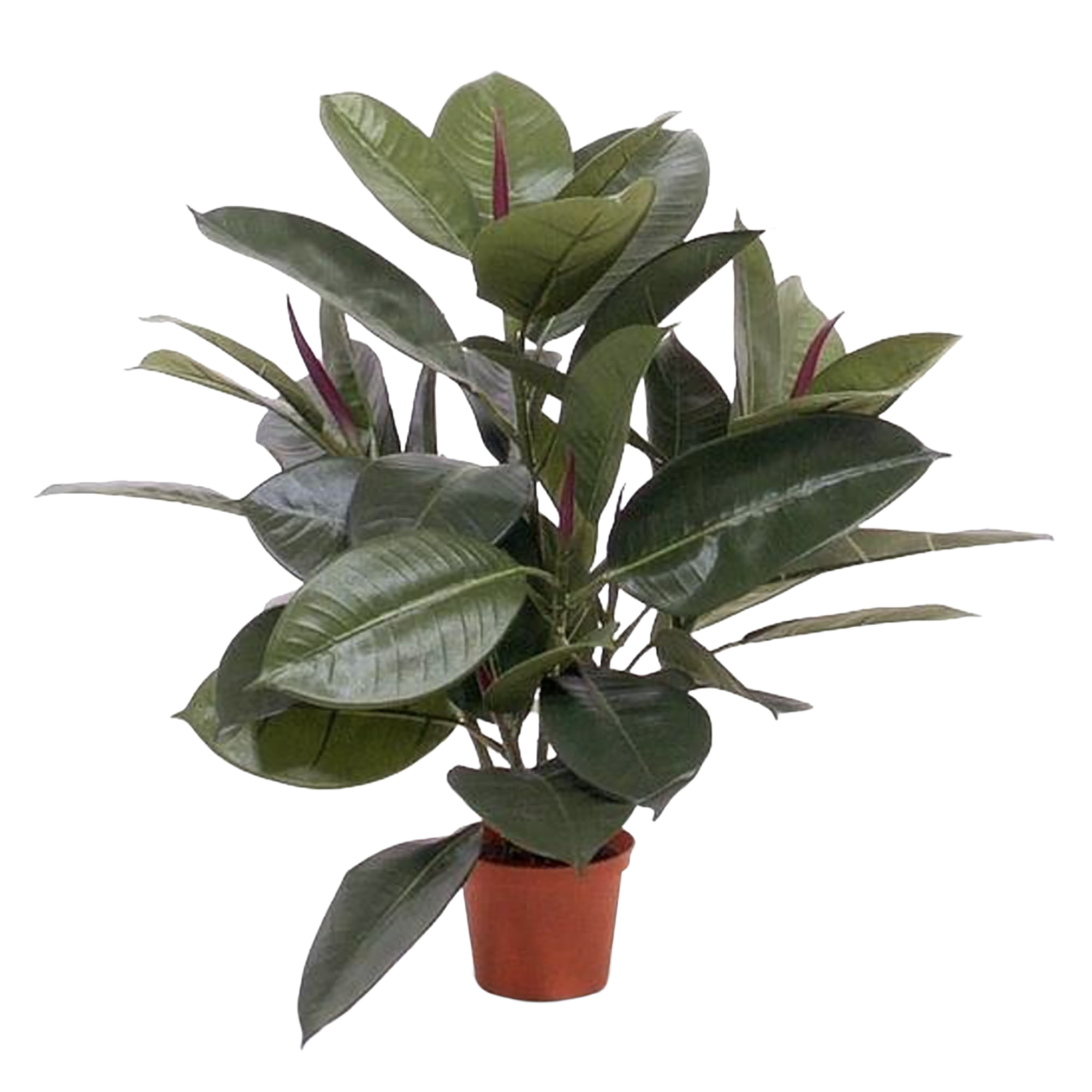 Philodendron Window kunstplant 50cm