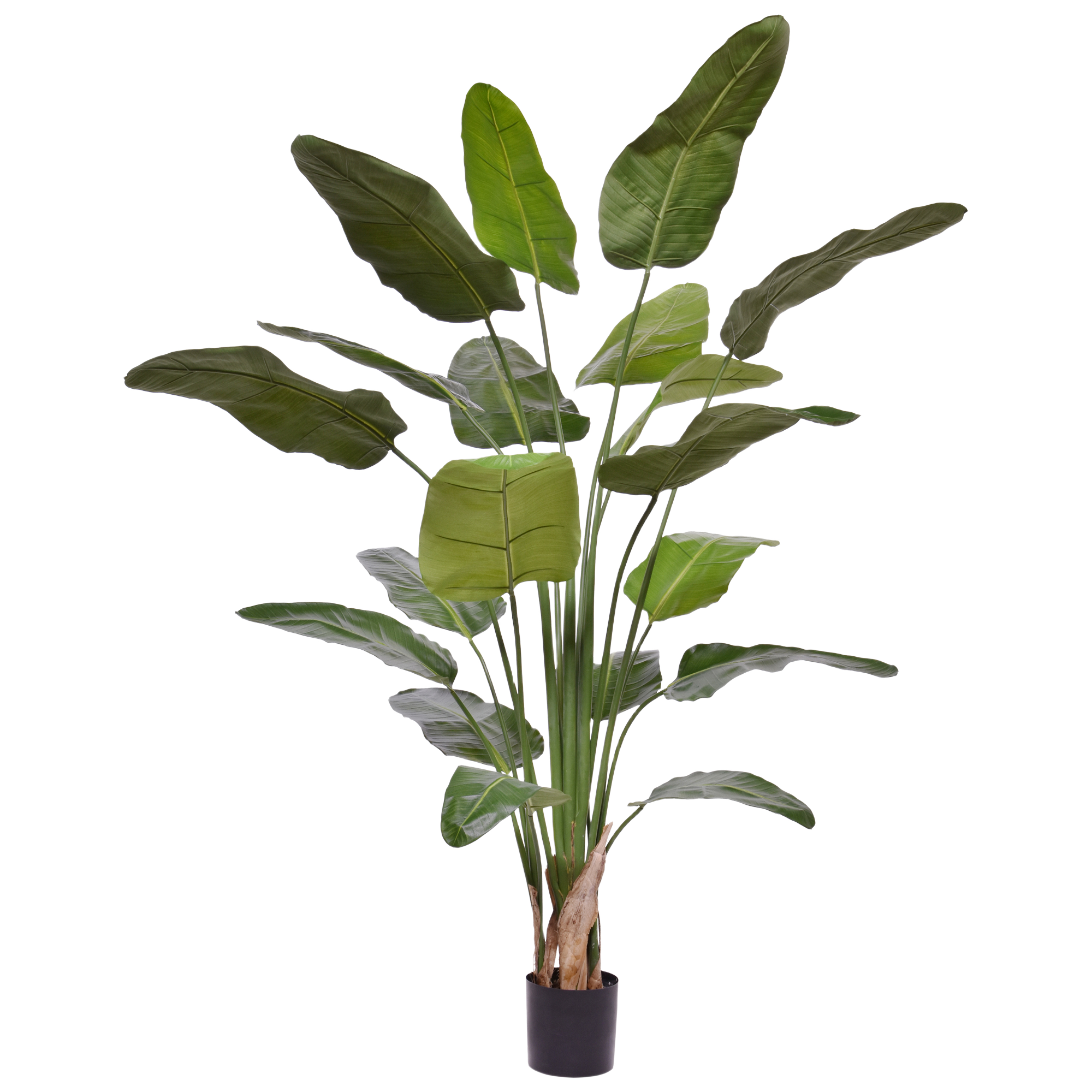 Strelitzia Nicolai Kunstplant 230cm Deluxe