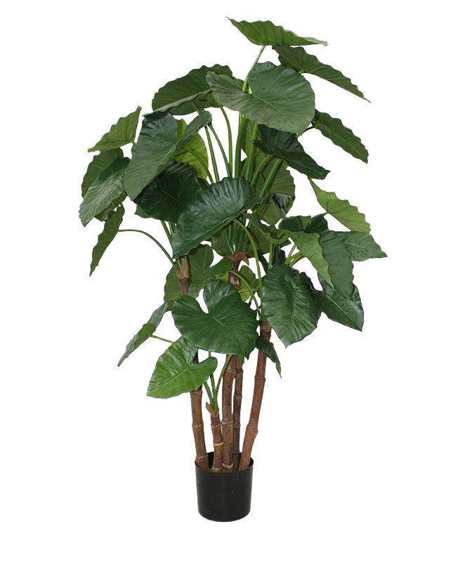 Alocasia Calidora deluxe kunstplant 165cm