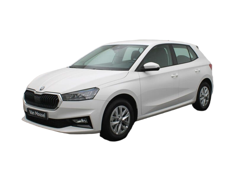 Skoda Fabia occasion