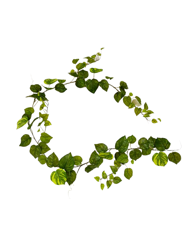 Pothos kunst guirlande 180cm - bont afbeelding 1