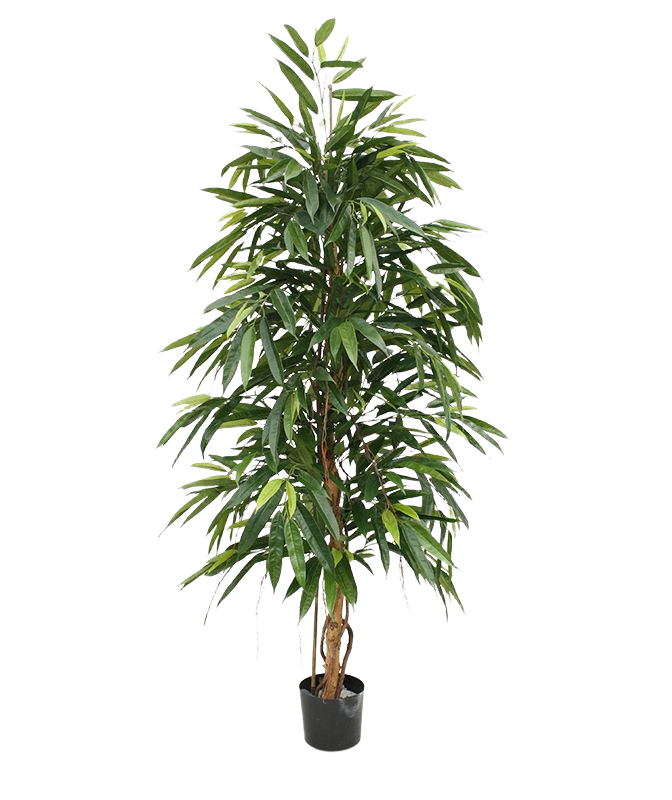 Longifolia Royal kunstboom 175cm