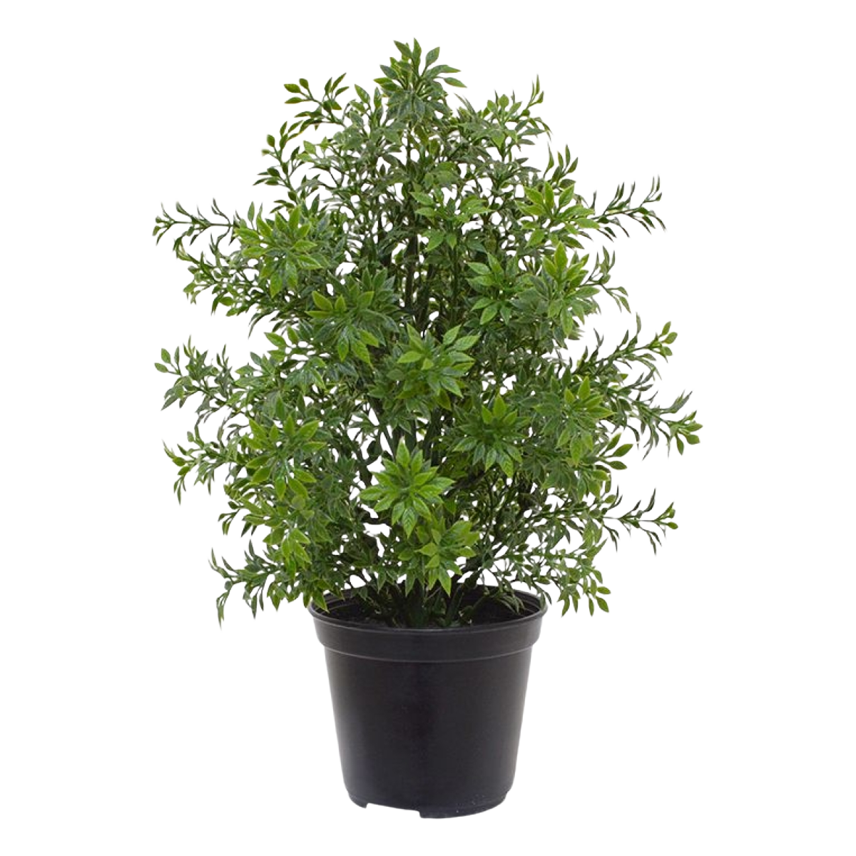 Eucalyptus kunstplant 30cm - UV bestendig in pot