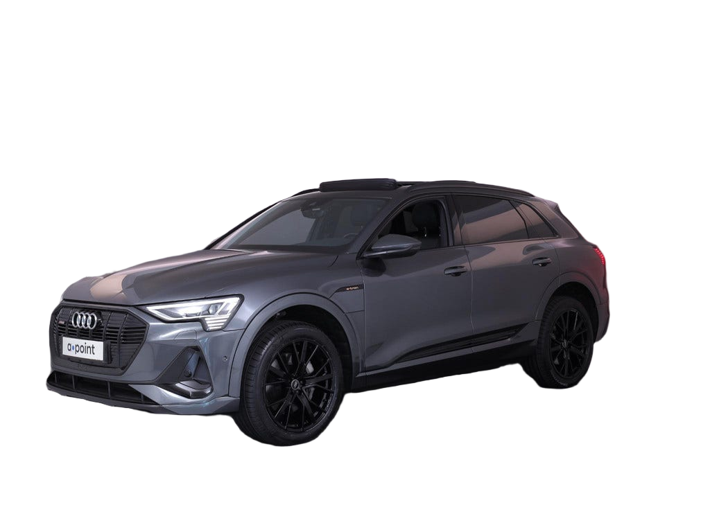 Audi e tron occasion