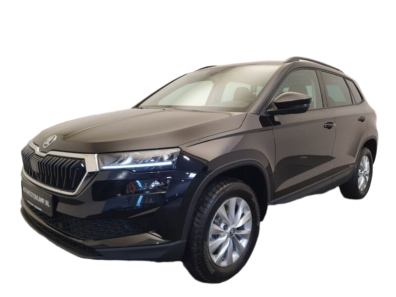 Skoda Karoq occasion