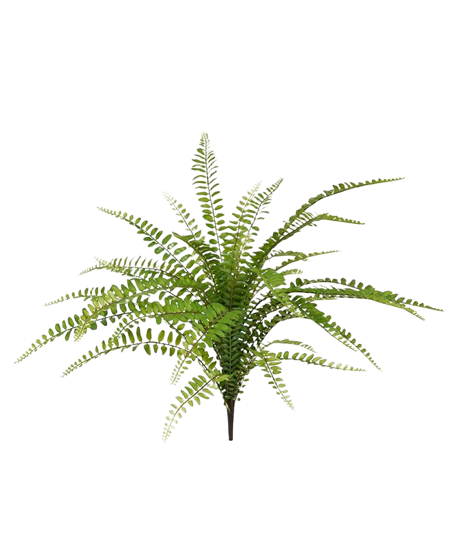 Asplenium Varen kunstplant 45cm
