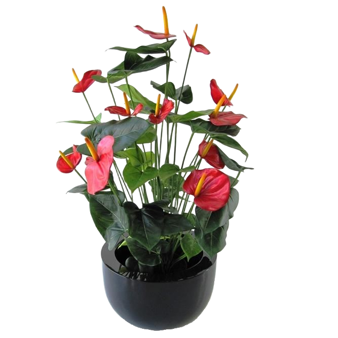 Anthurium deluxe kunstplant 80cm - rood