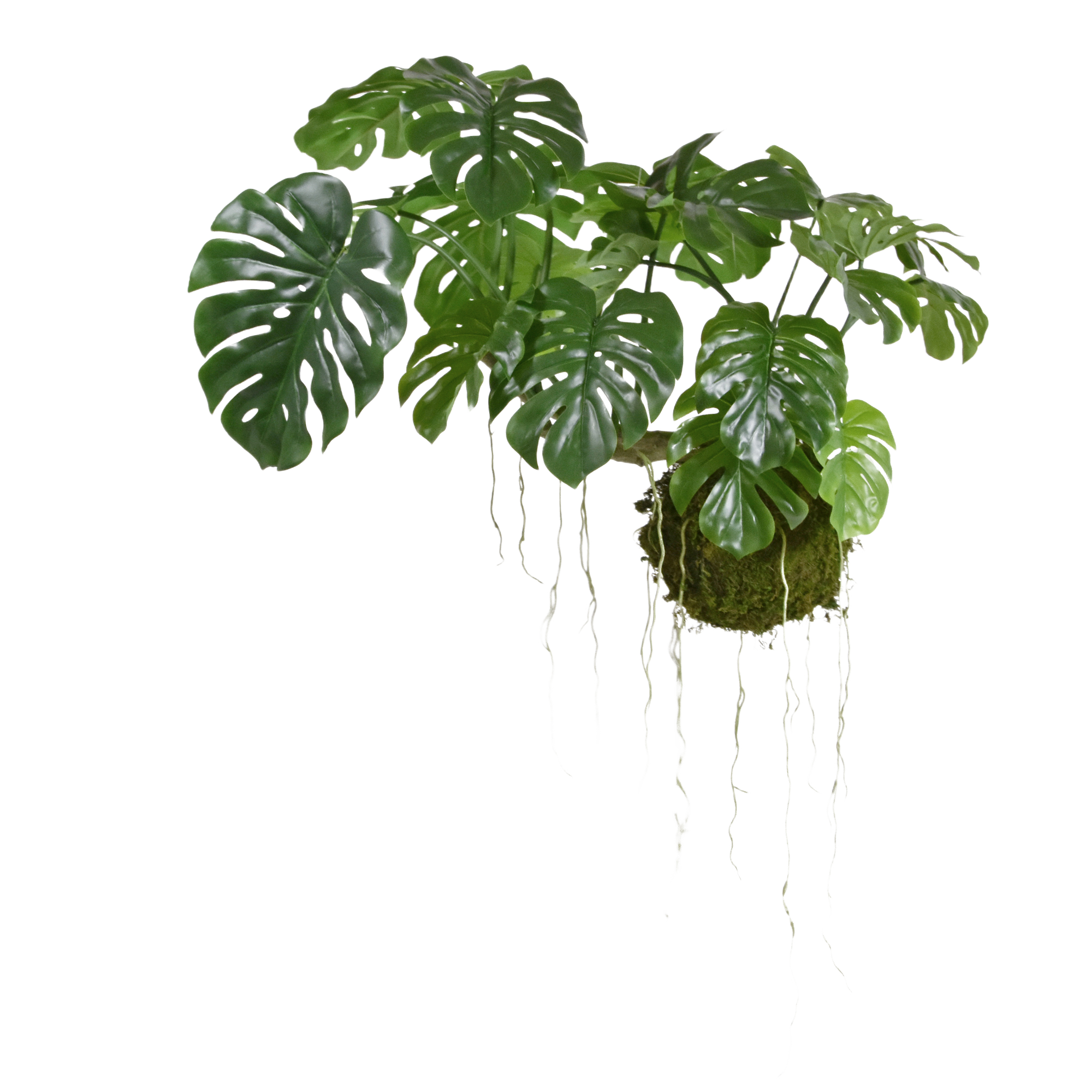 Monstera kunst Hanger M op Mosbol