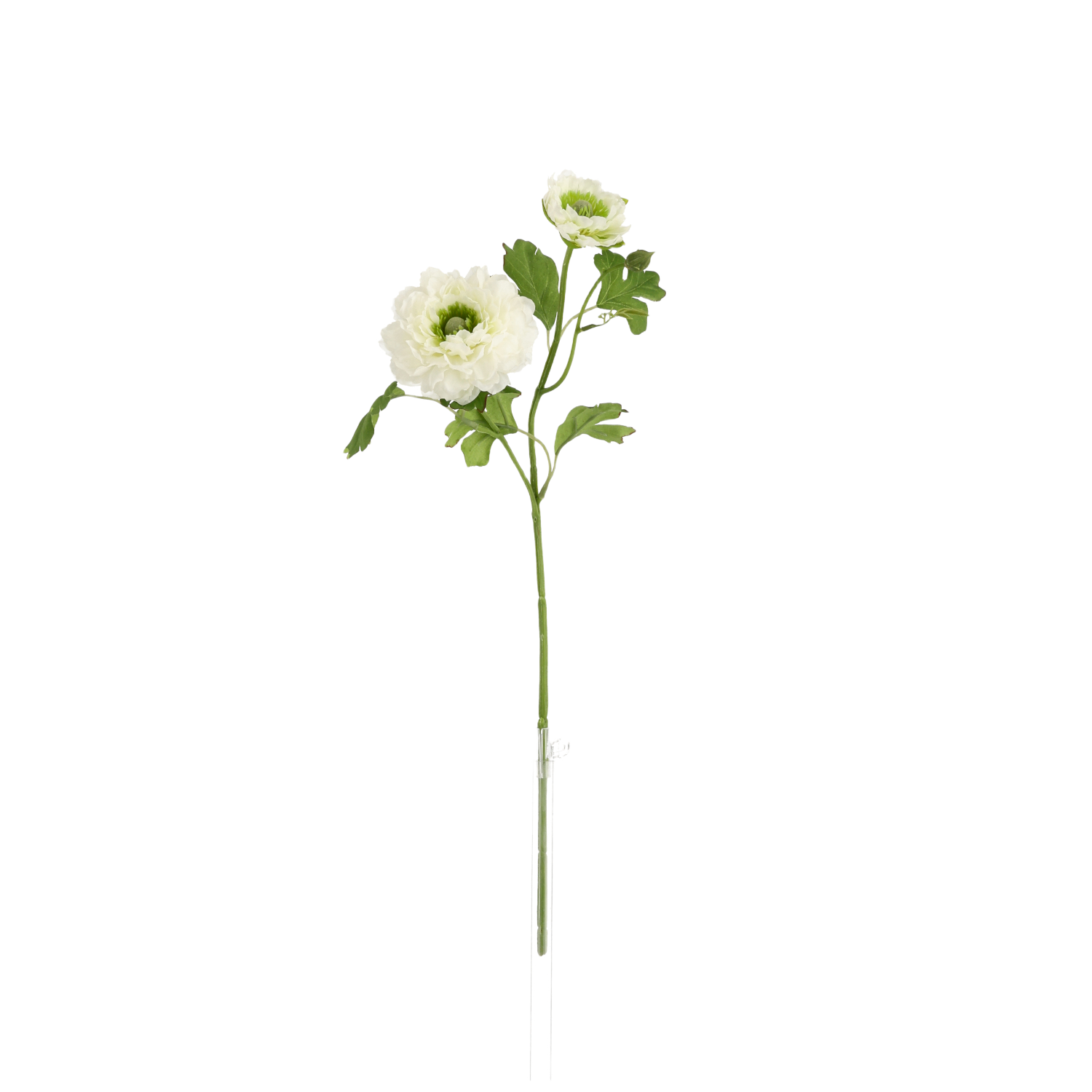 Ranonkel Kunsttak 46cm Creme
