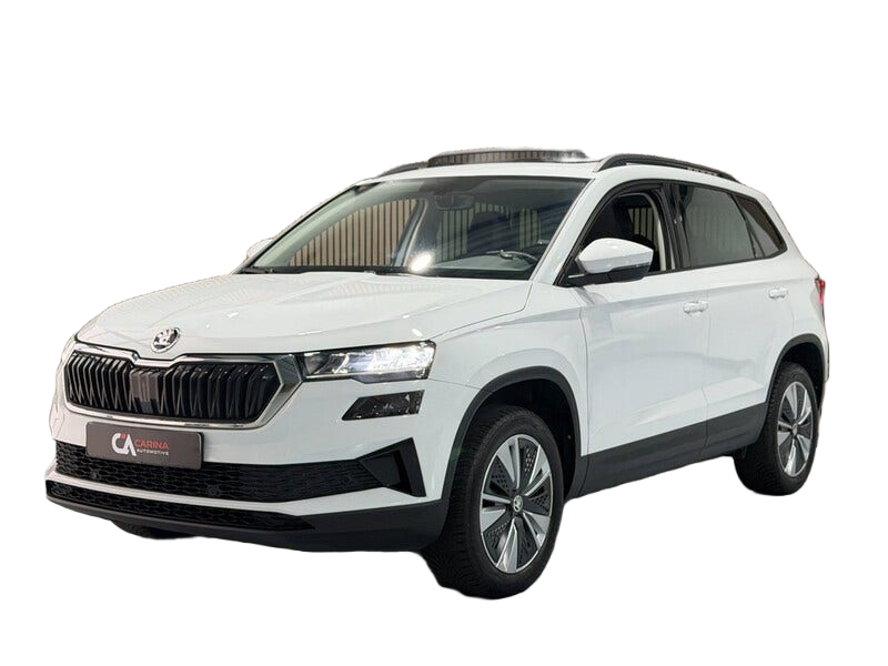 Skoda Karoq occasion