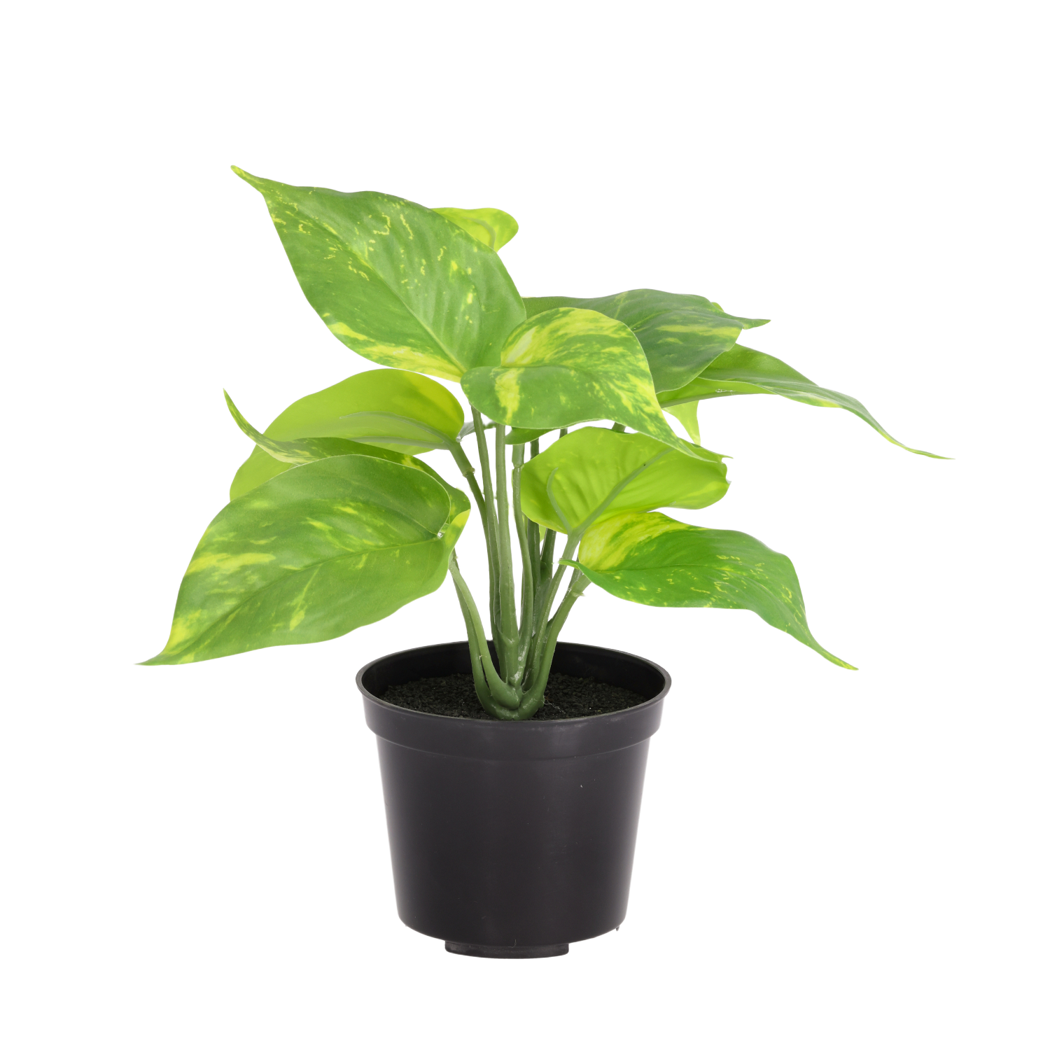 Pothos kunstplant bont 20cm in kweekpot