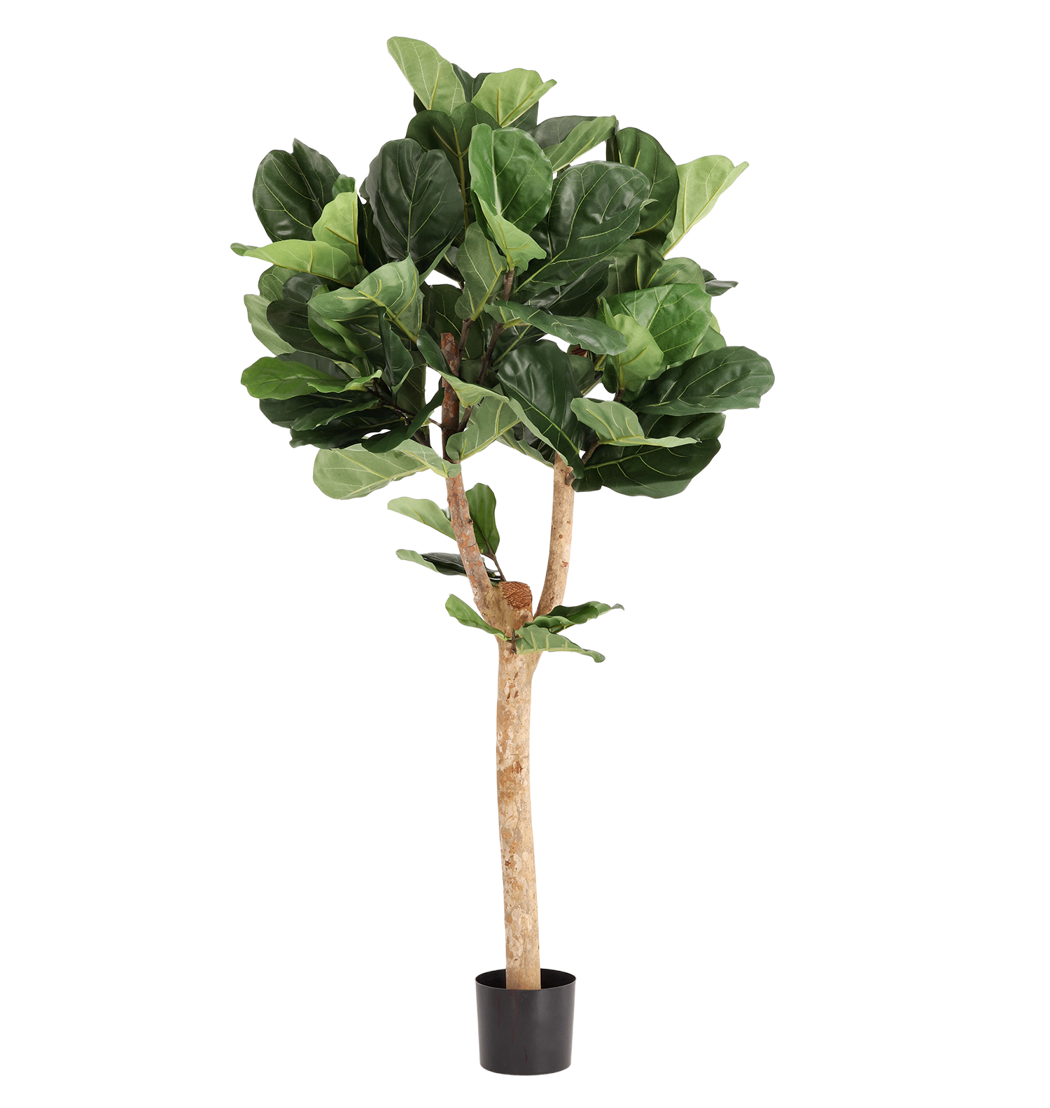 Lyrata Deluxe Y Kunstboom 170cm in pot