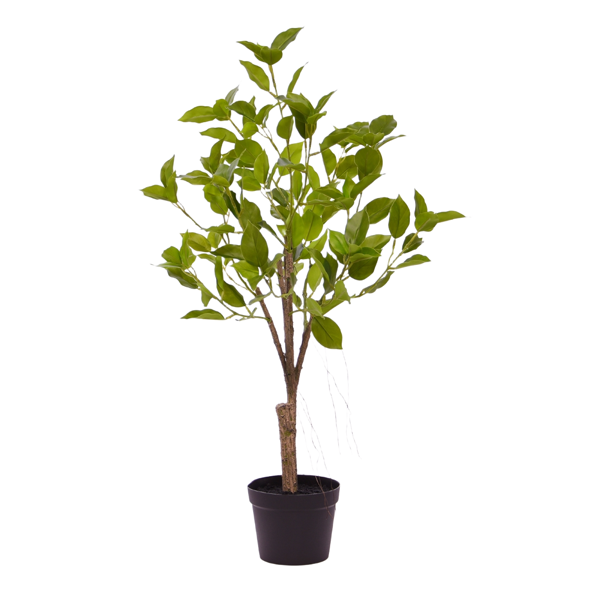 Ficus Natasja Kunst Bonsai 60cm groen