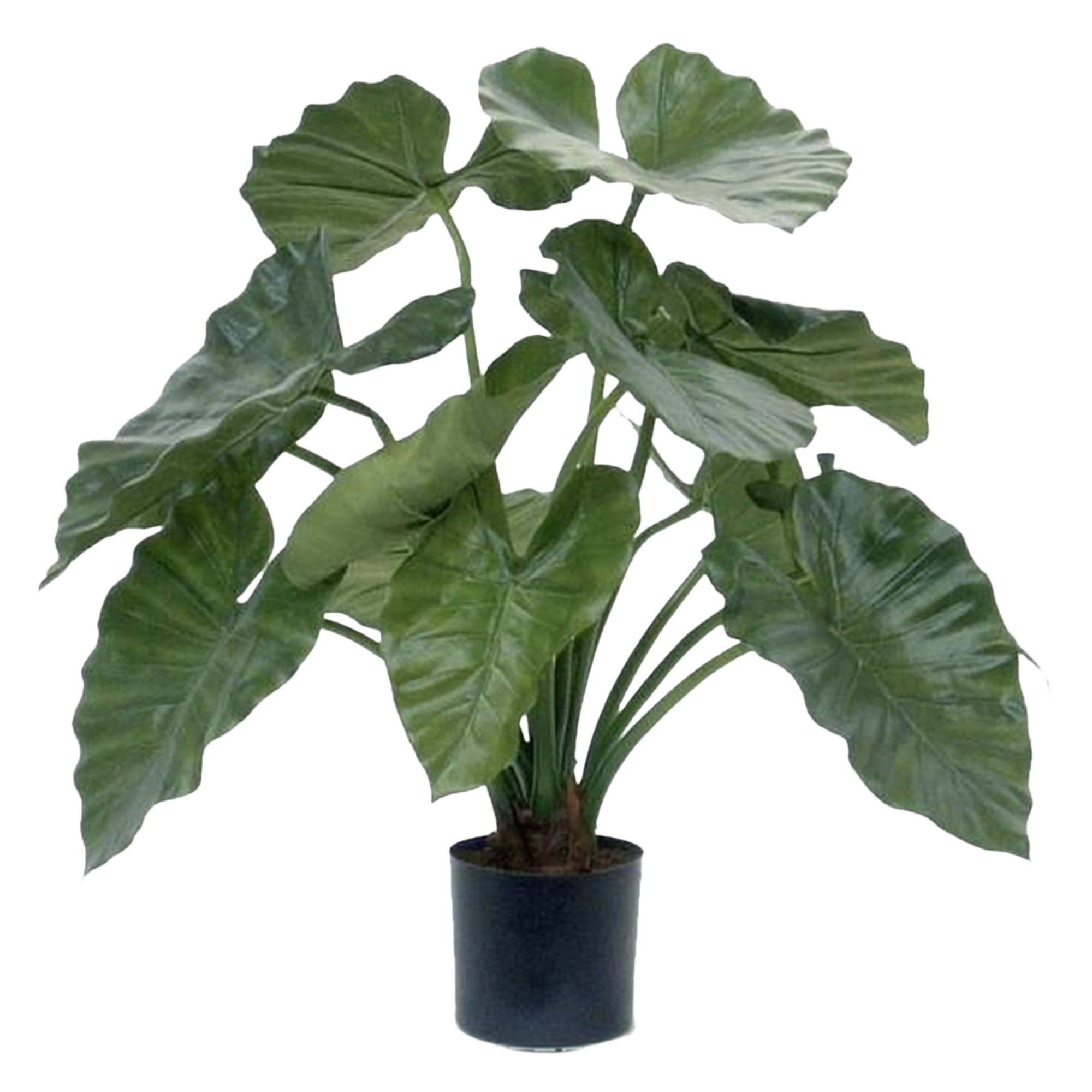 Alocasia Calidora kunstplant 60cm