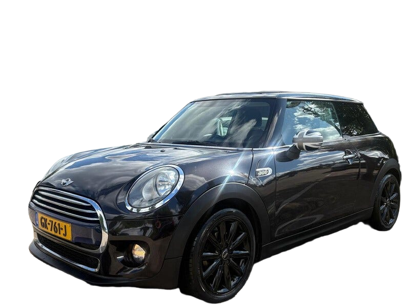 MINI 3 deurs
