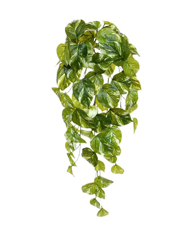 Pothos kunst hangplant 60cm