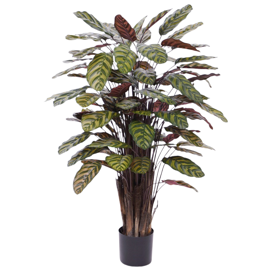 Red Calathea Makoyana kunstplant Deluxe 115cm