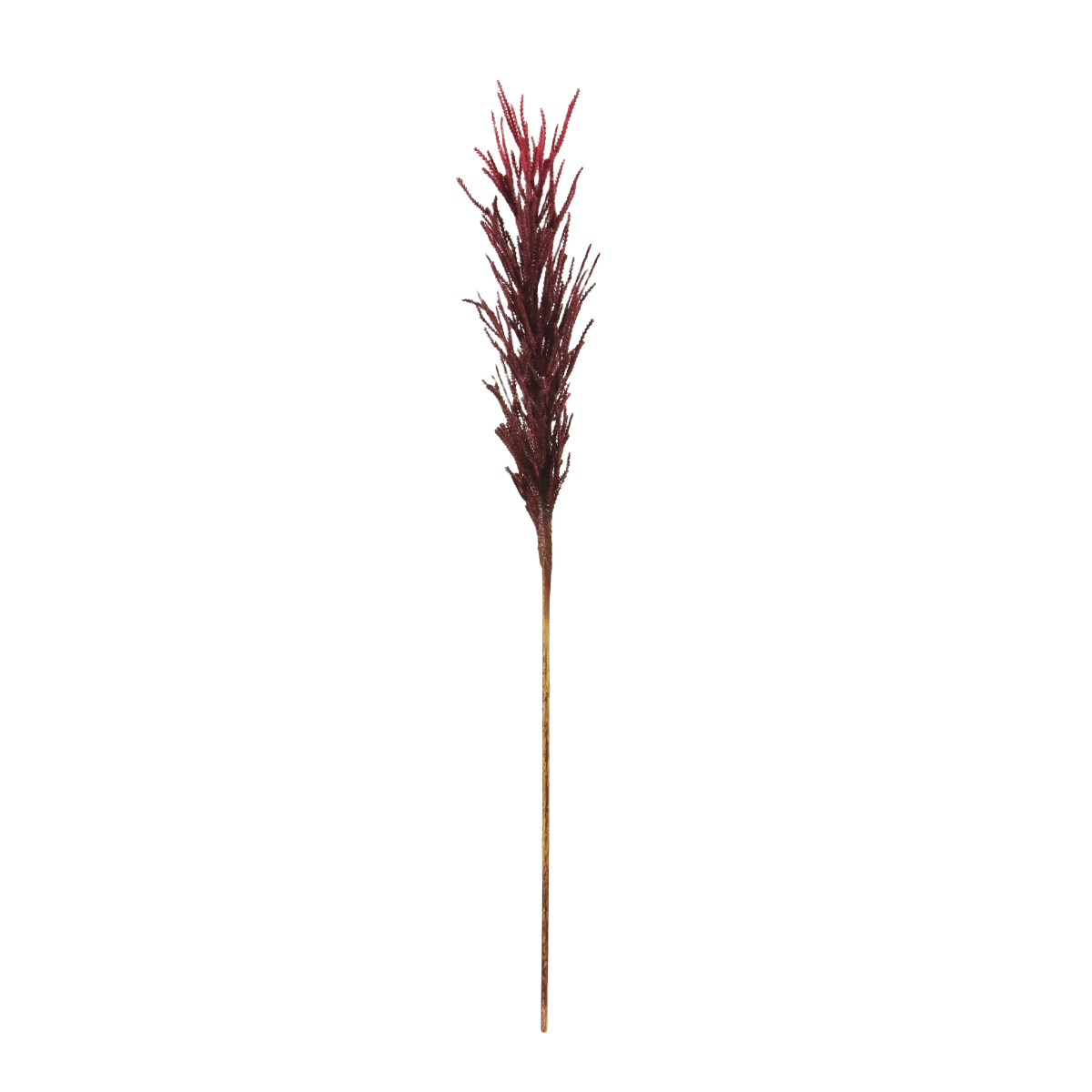 Kunst Pampaspluim 80 cm burgundy