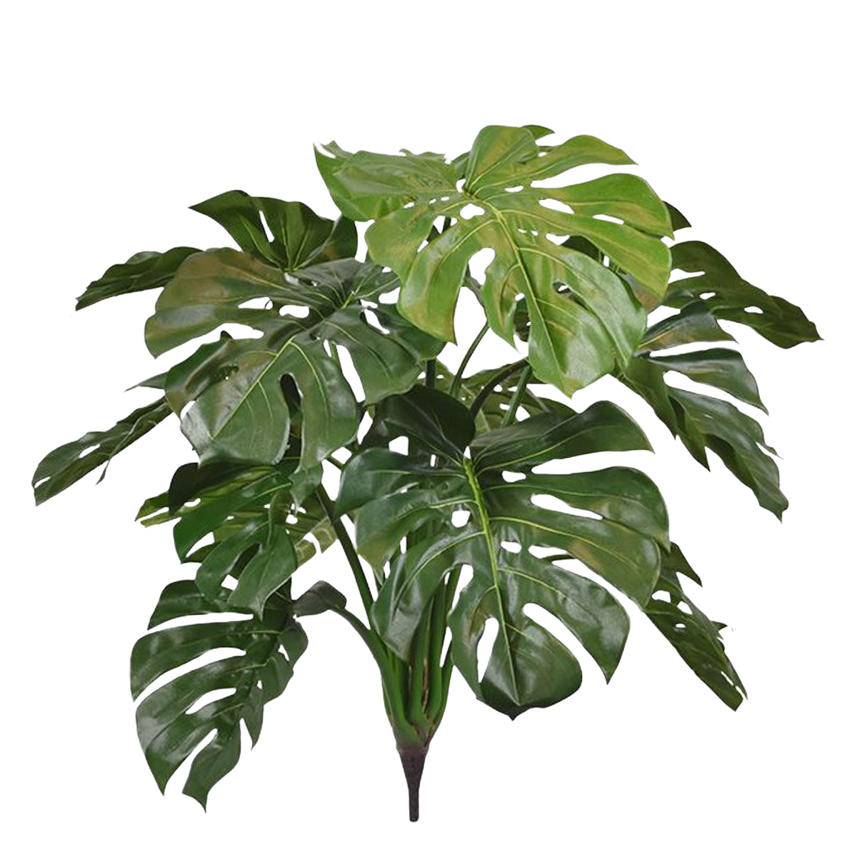 Monstera deluxe kunstplant 75cm