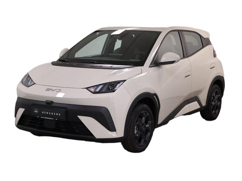 BYD DOLPHIN SURF occasion