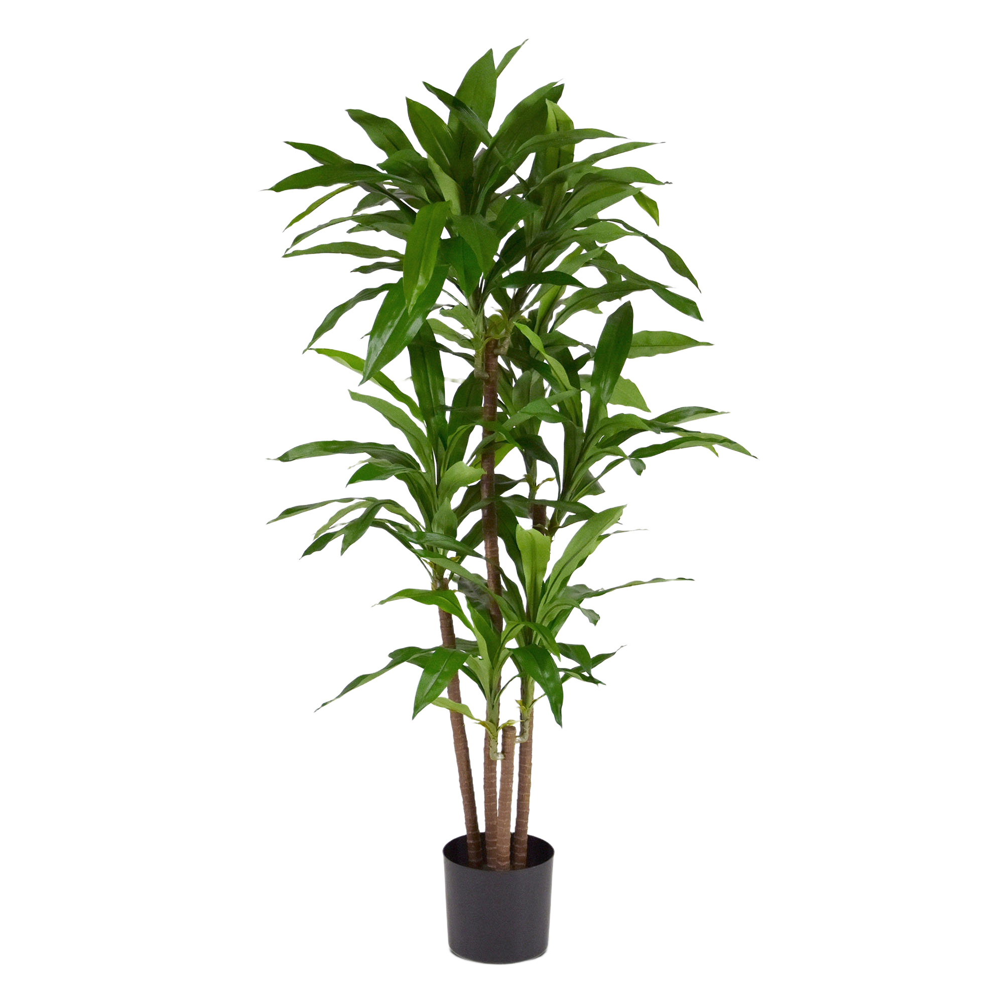 Draceana Fragrans XL Kunstplant 130cm