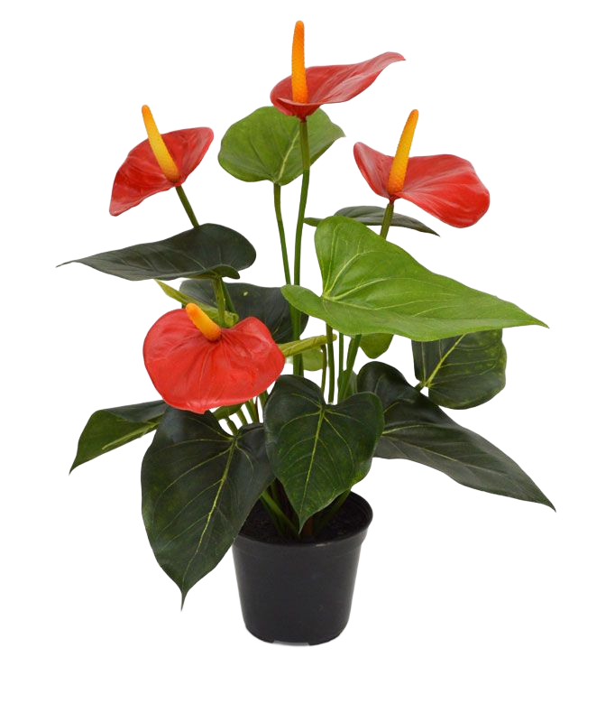 Anthurium kunstplant 40cm - rood in 10cm kweekpot